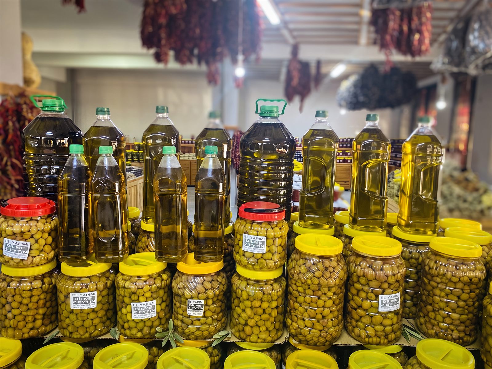 Zeytin ve zeytinyağı