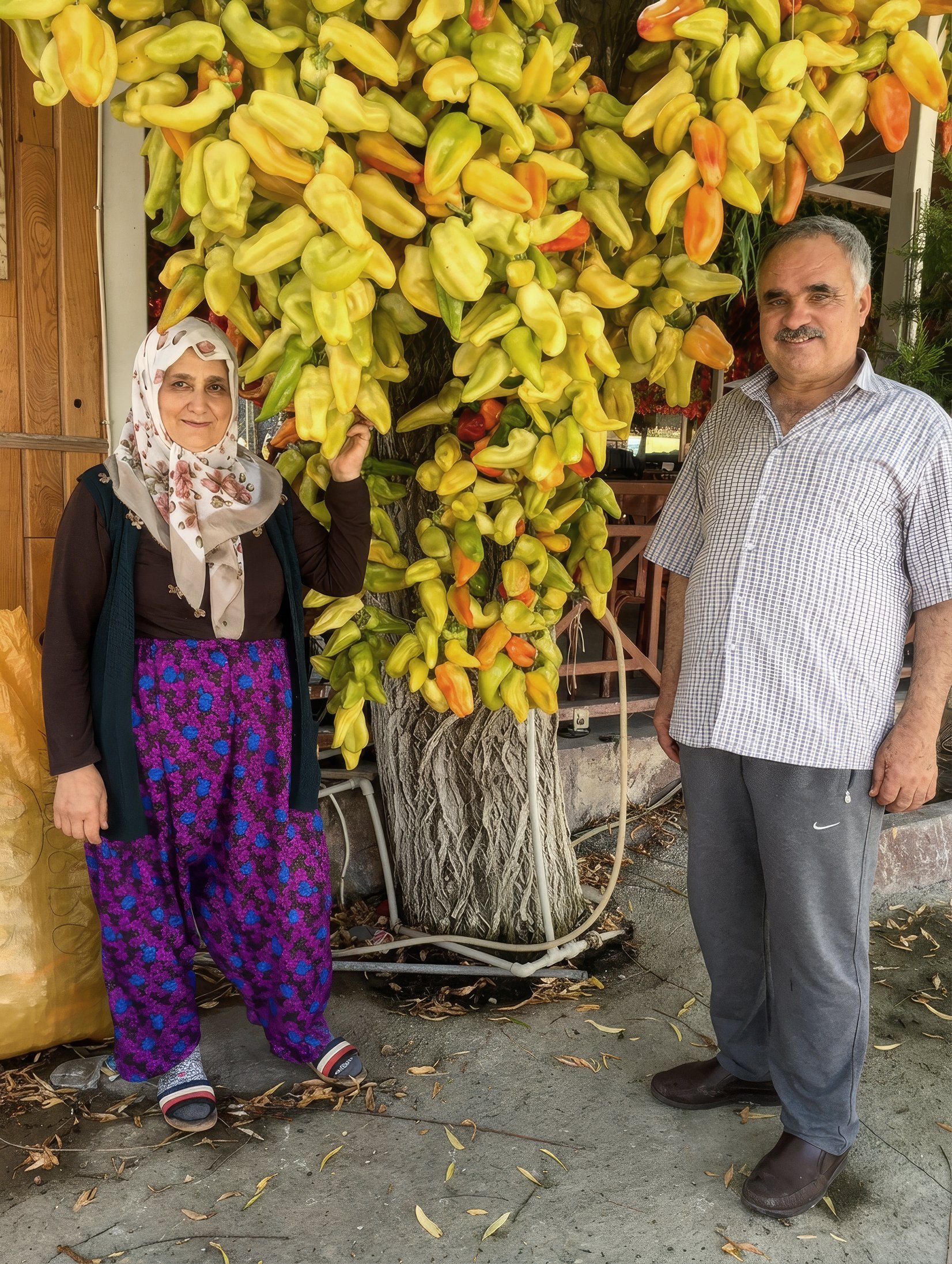 Abdi Baba ailesi, asılı Kale biberlerinin yanında